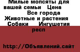 Милые мопсяты для вашей семьи › Цена ­ 20 000 - Все города Животные и растения » Собаки   . Ингушетия респ.